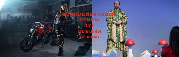 spice Дмитриев