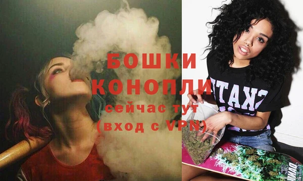дживик Дмитровск