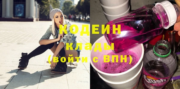 spice Дмитриев