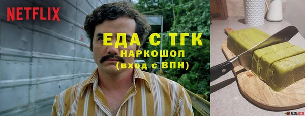 spice Дмитриев